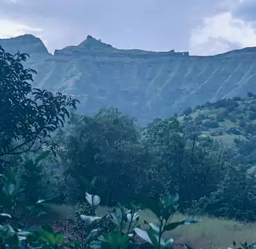 Mrudgandh Farm House nature
