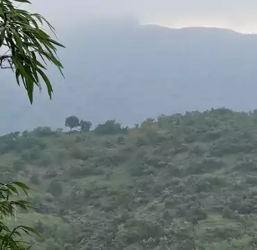 Mrudgandh Farm House nature