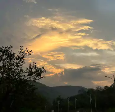 Mrudgandh Farm House nature