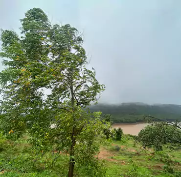 Mrudgandh Farm House nature