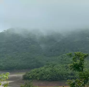 Mrudgandh Farm House nature