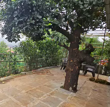 Mrudgandh Farm House Outdoor Areas
