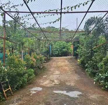 Mrudgandh Farm House Outdoor Areas