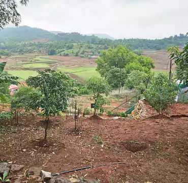 Mrudgandh Farm House Outdoor Areas