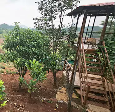 Mrudgandh Farm House Outdoor Areas